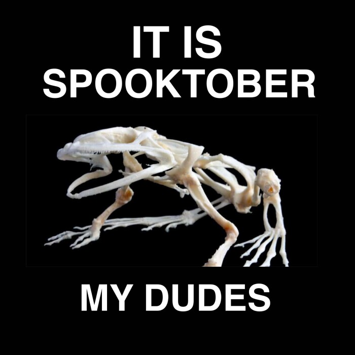 Meme by trendingfuss