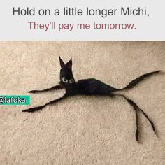Meme by postyourcats