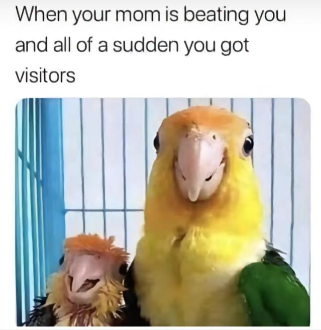Meme by disneymemes