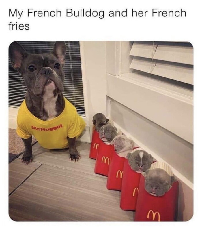 Meme by doge