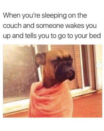 When you're sleeping on the couch and someone wakes you up tells to go your bed