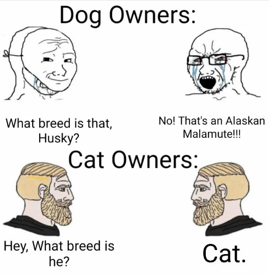 Meme by postize