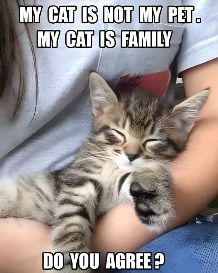 Meme by amazingmemes