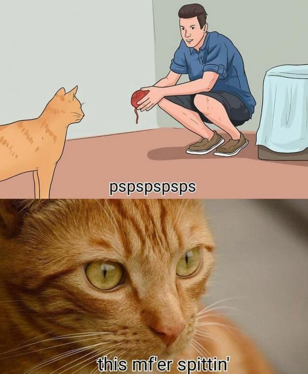 pspspspsps this mfer spittin'