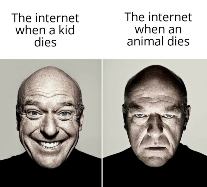 Meme by tiger