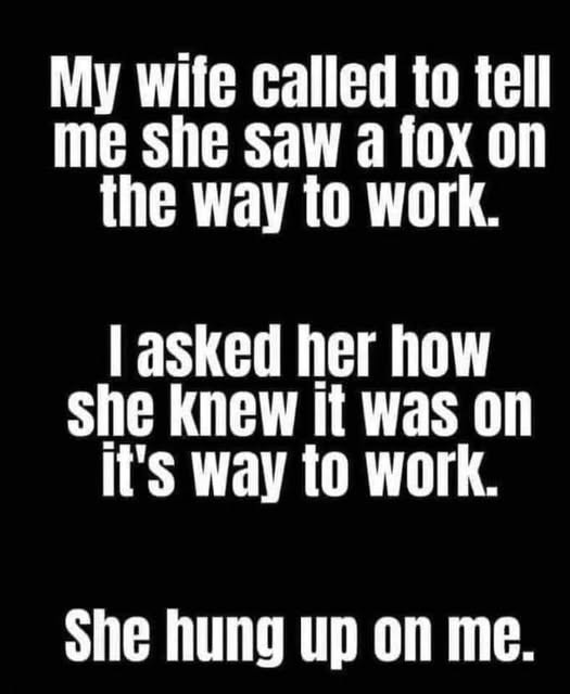 My wite called to tell me she saw a fox on the way work. lasked her how knew it was it's She hung up me.