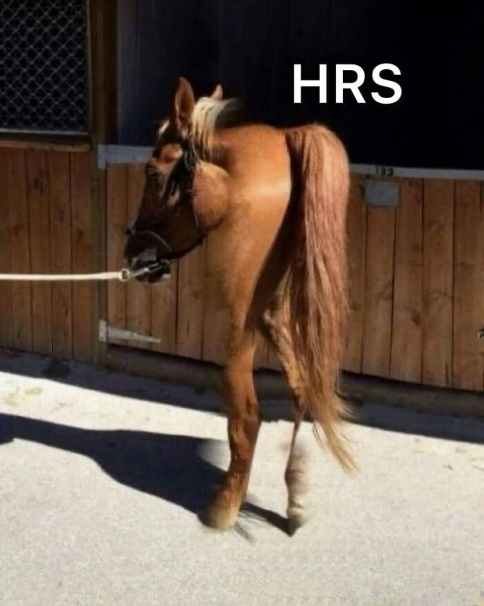 HRS