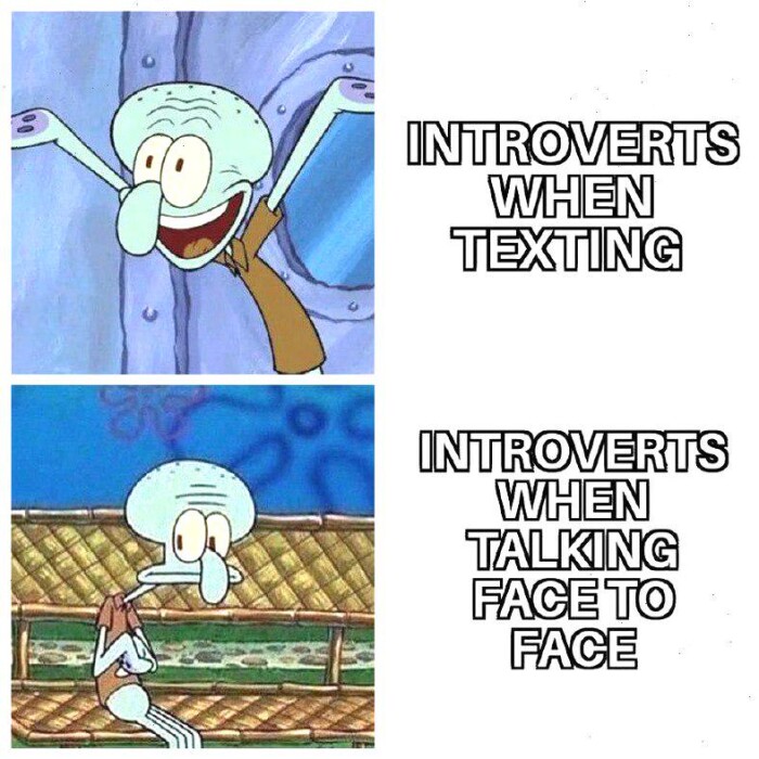 INTROVERTS WHEN TEXTING FACTS FACE