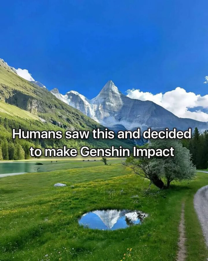 Humans saw this and decided to make Genshin Impact