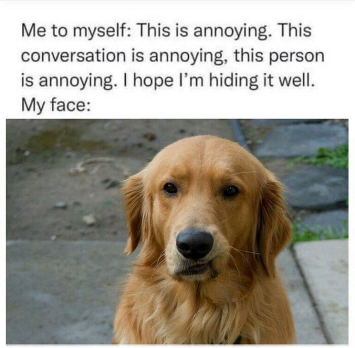 This is annoying. conversation annoying, this person I hope I'm hiding it well. My face: