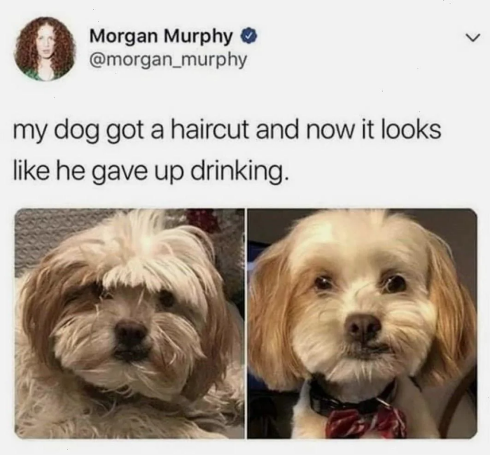 Meme by doge
