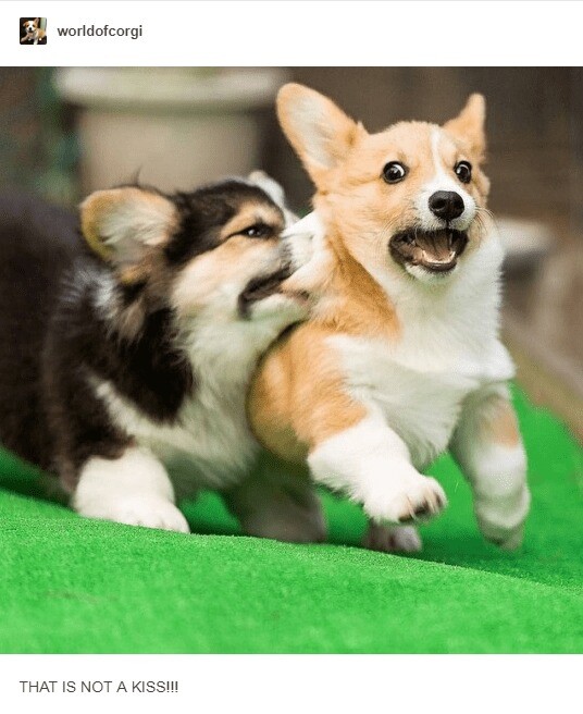 Upload a Picture That Screams “Me vs. My Best Friend”