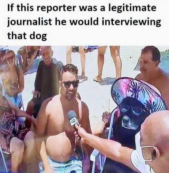 If this reporter was a legitimate journalist he would interviewing that dog