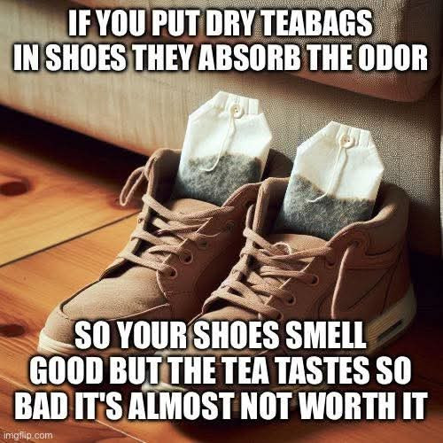 IF YOU PUT DRY TEABAGS IN SHOES THEY ABSORB THE ODOR SO YOUR SMELL GOOD BUT TEA TASTES BAD IT'S ALMOST NOT WORTH IT