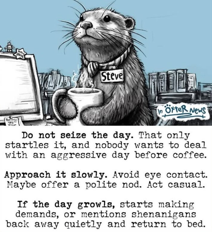 News Do not seize the day. That only startles it, and nobody wants to deal with an aggressive day before coffee. Approach it slowly. Avoid eye contact. Maybe offer a polite nod. Act casual. If growls, starts making demands, or shenanigans back away quietly return bed.