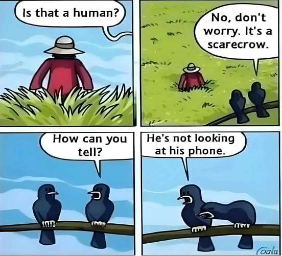 Is that a human? How can you tell? No, don't worry. It's scarecrow. He's not looking at his phone. (TOY