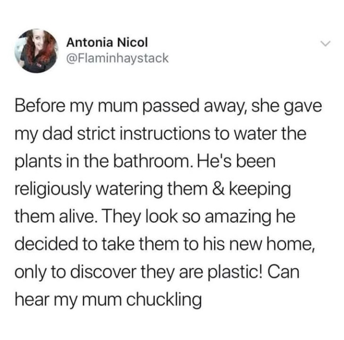 Antonia Nicol Before my mum passed away, she gave dad strict instructions to water the plants in bathroom. He's been religiously watering them