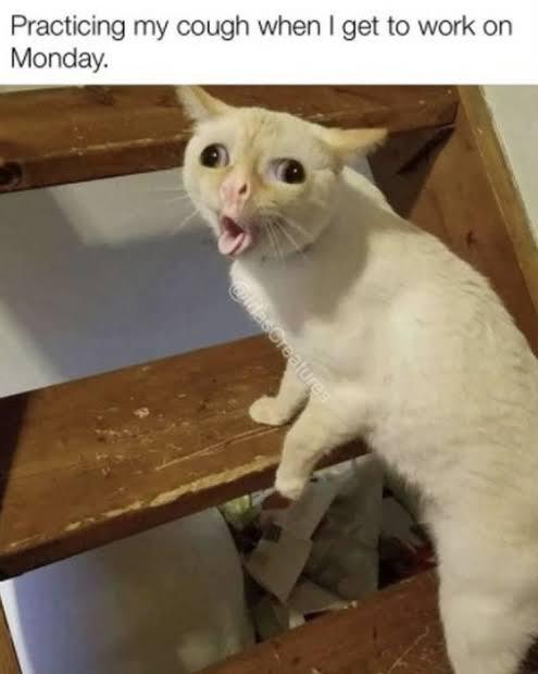 Practicing my cough when I get to work on Monday.