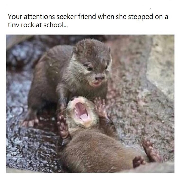 Meme by symphonyofmemes