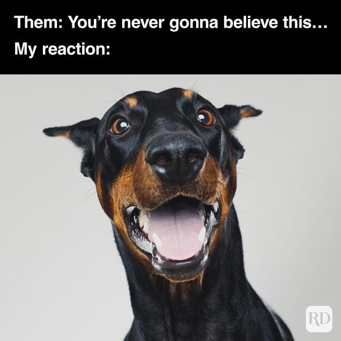 Meme by doge
