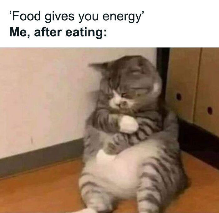 'Food gives you energy' Me, after eating: