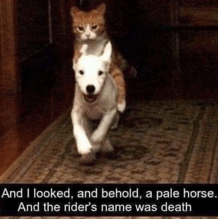 And I looked, and behold, a pale horse. the rider's name was death