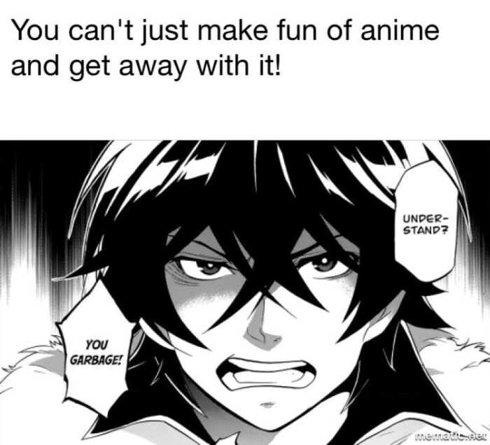You can't just make fun of anime and get away with it! UNDER- STAND? YOU GARBAGE!