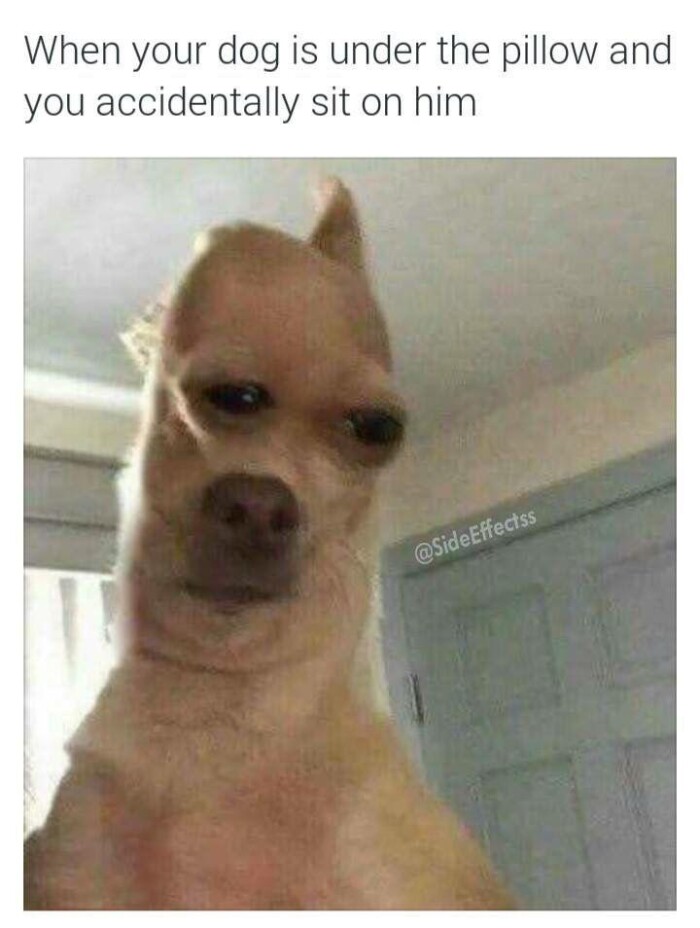 Meme by doge