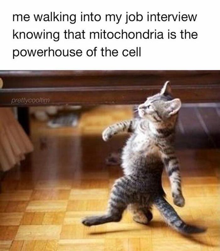 Meme by kronk