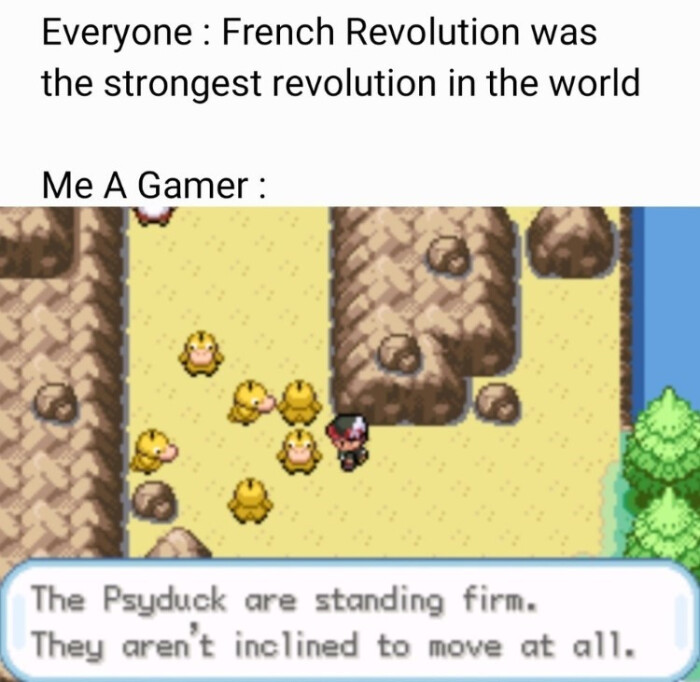 Everyone : French Revolution was the strongest revolution in world Me A Gamer: The Psyduck are standing firm. They aren't inclined to move at all.