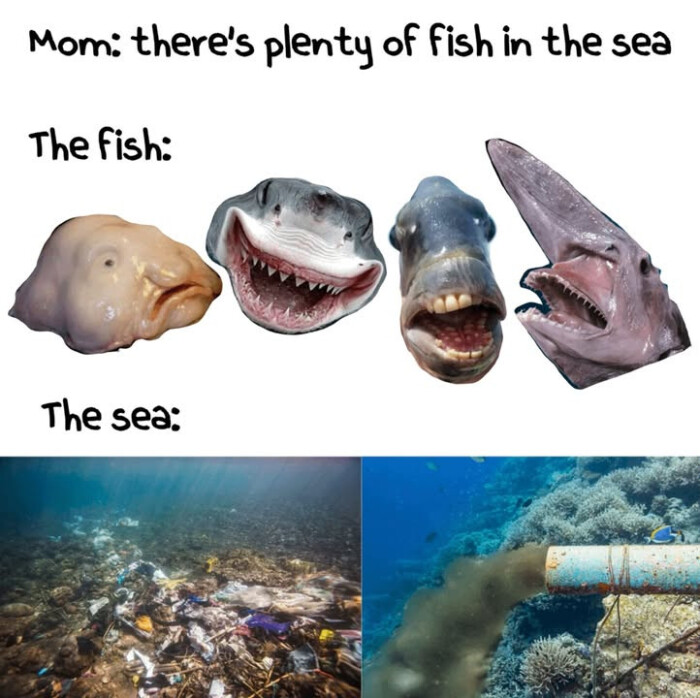 Mom: there's plenty of fish in the sea The fish: sea: