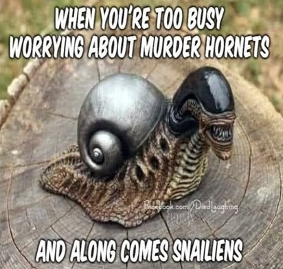 WHEN YOU'RE TOO BUSY WORRYING ABOUT HORNETS AND ALONG COMES SNAILIENS