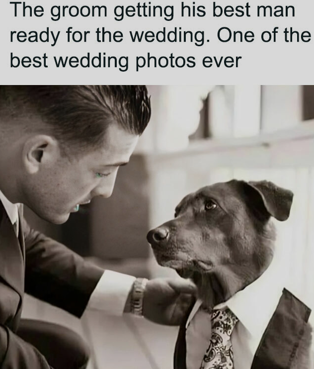 Meme by pupperdoggo