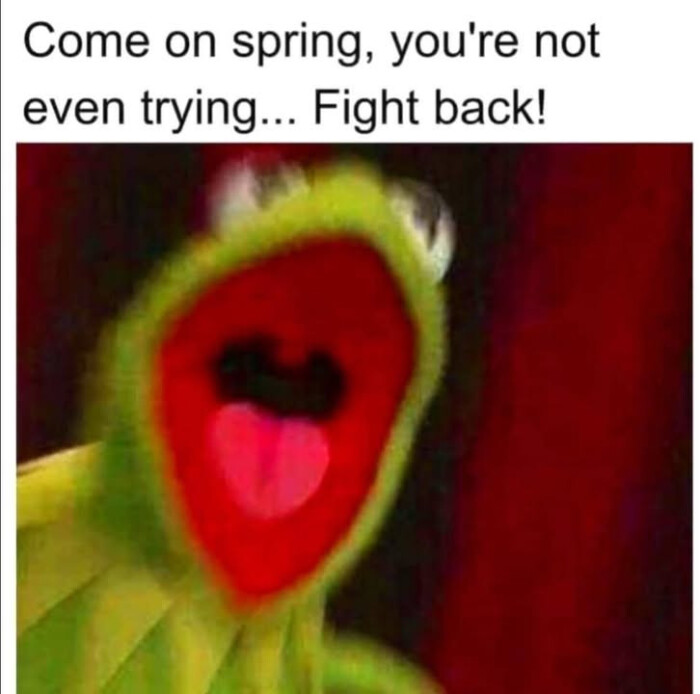 Come on spring, you're not even trying... Fight back!