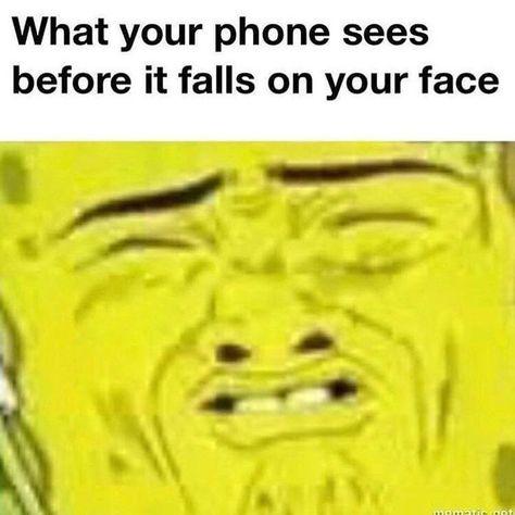 Meme by tiger