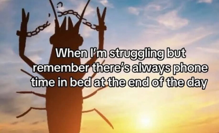 When I'm struggling but remember there's always phone time in bed at the end of day