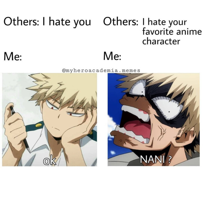 Others: I you your favorite anime character Me: @myheroacademia.memes NANI?