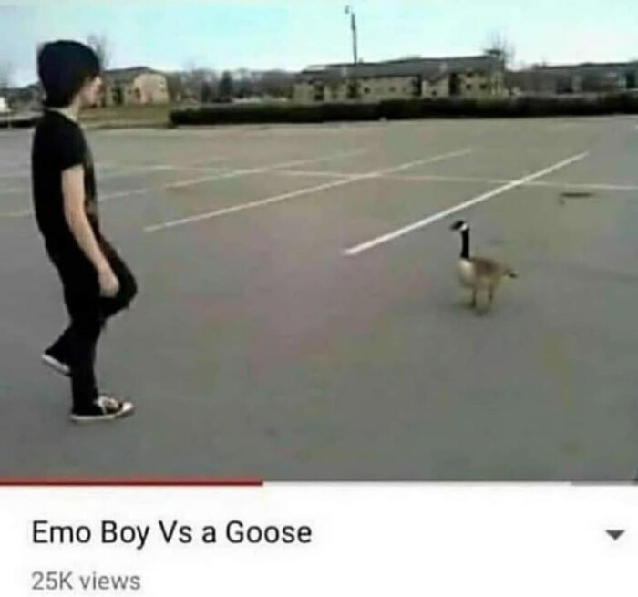 Emo Boy Vs a Goose