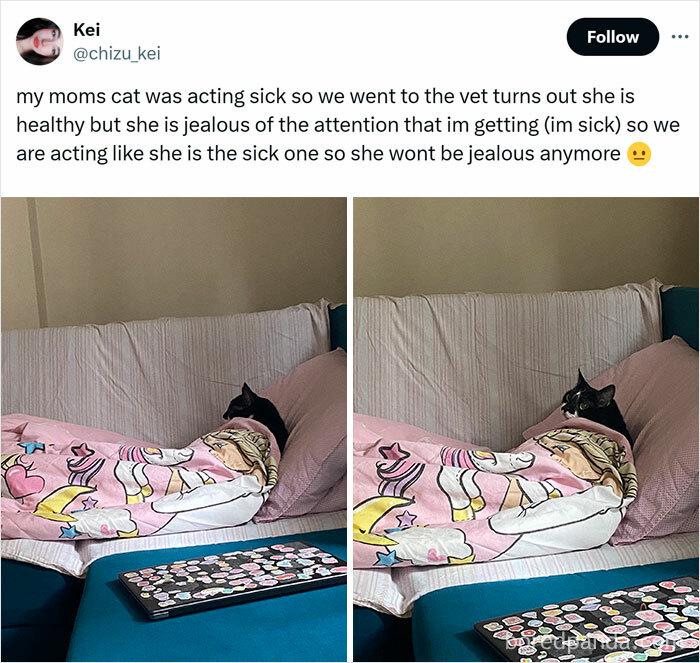 Meme by warningdisneyaddictsonly