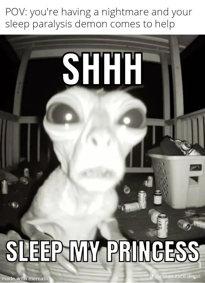 POV: you're having a nightmare and your sleep paralysis demon comes to help SHHH SLEEP MY PRINCESS made with mematic d-@ethan.zace.dizon