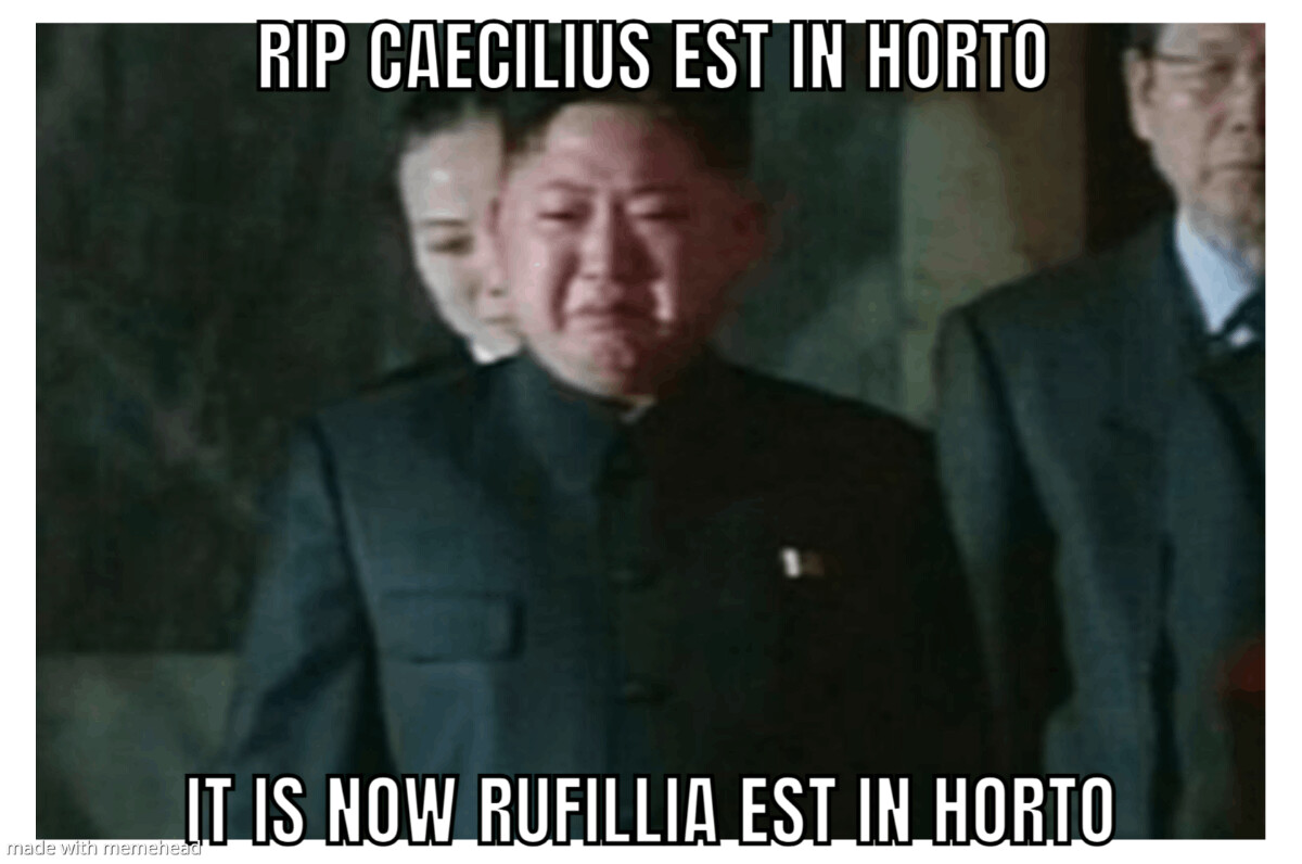 i am so sad that Caecilius is dead