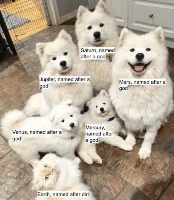 Meme by iamfunny