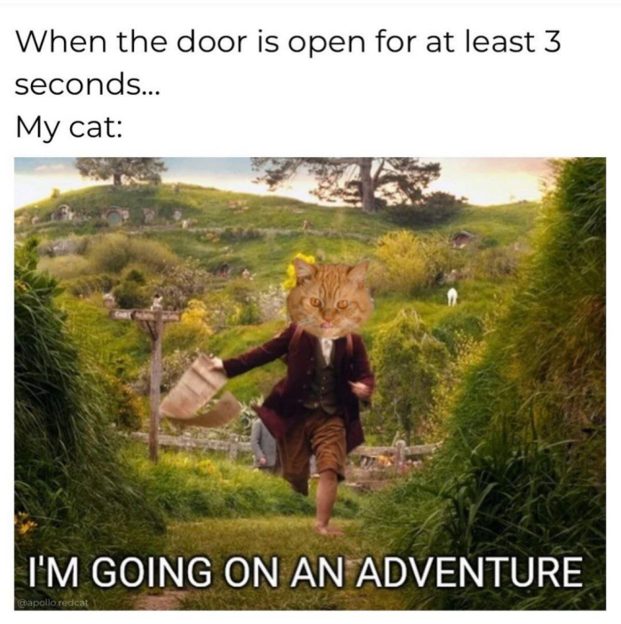 Meme by catsoncatnip
