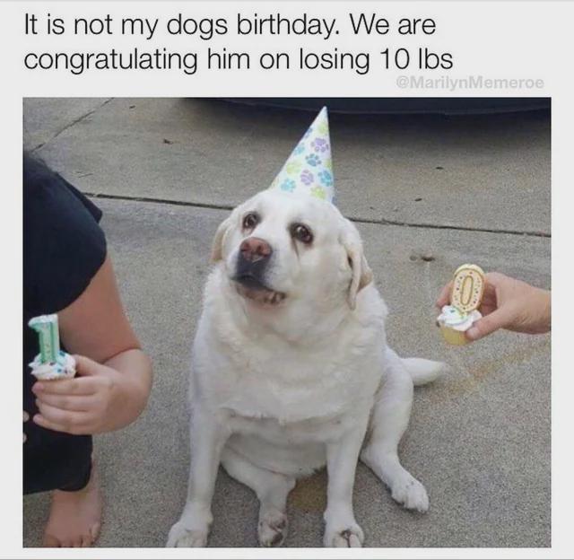 Meme by doge