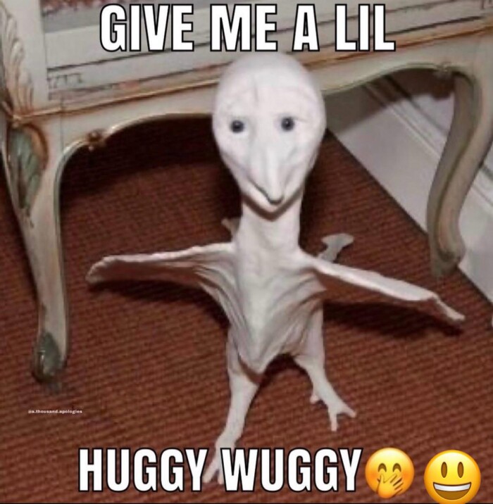 GIVE ME A LIL HUGGY WUGGY