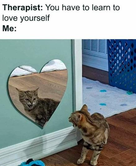 Meme by postyourcats