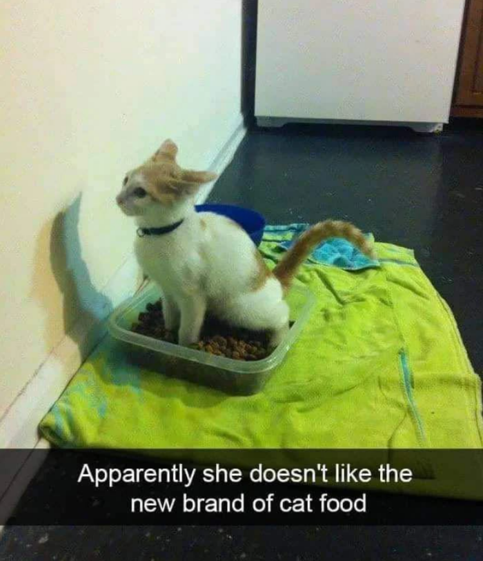 Meme by classic80smusicmemes