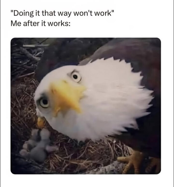 "Doing it that way won't work" Me after works: