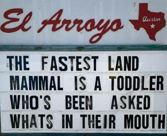 El Arraya Austin THE FASTEST LAND MAMMAL IS A TODDLER WHO'S BEEN ASKED WHATS IN THEIR MOUTH