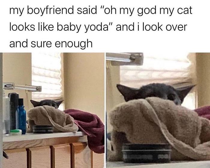 Meme by gargoyle